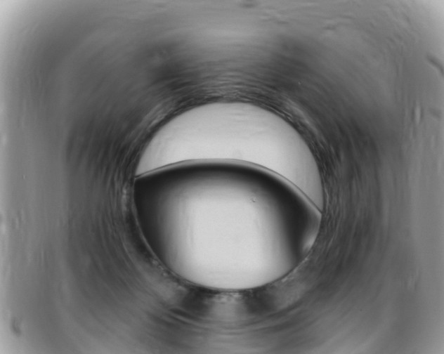X0000096160124200801180900