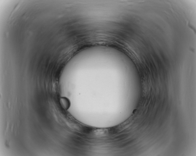 X0000096160126200801180900