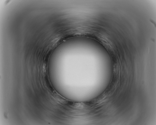 X0000096160127200801180900