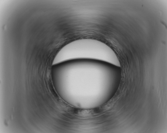 X0000096160129200801180900