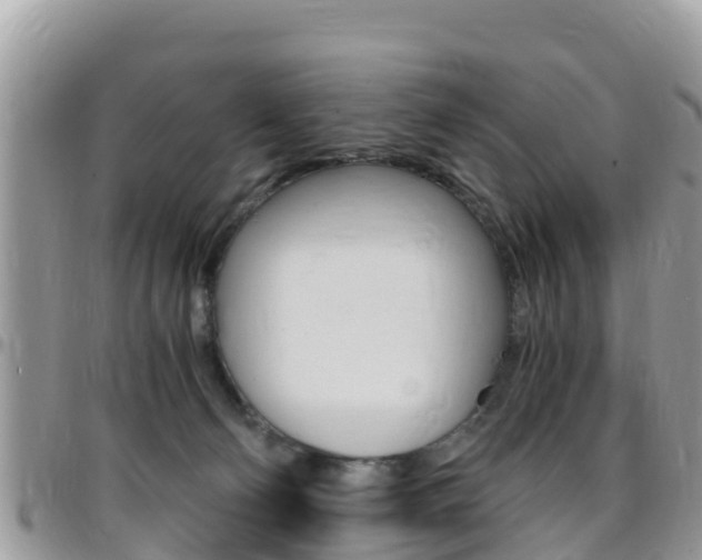 X0000096160130200801180900