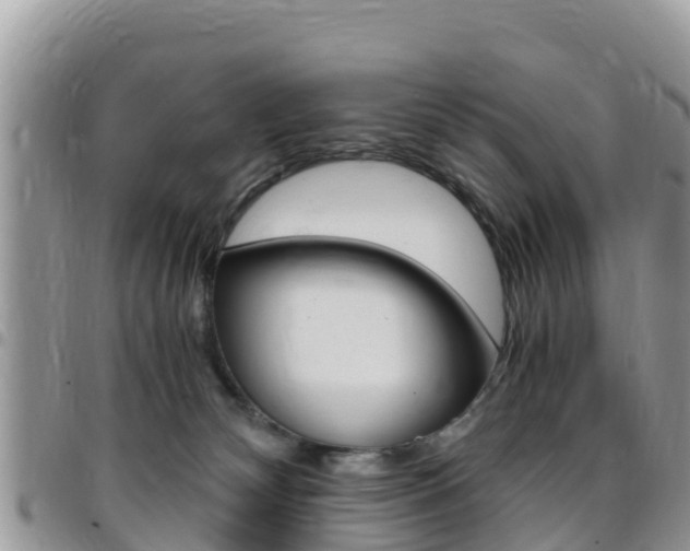 X0000096160132200801180900