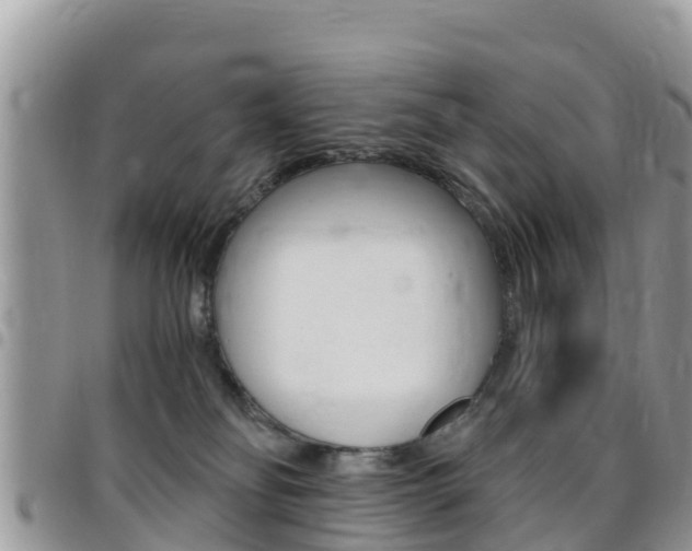 X0000096160134200801180900