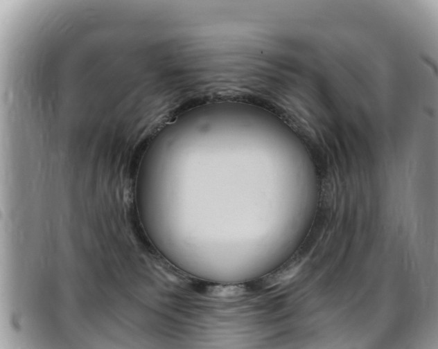 X0000096160135200801180859