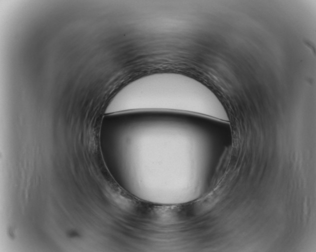 X0000096160136200801180859