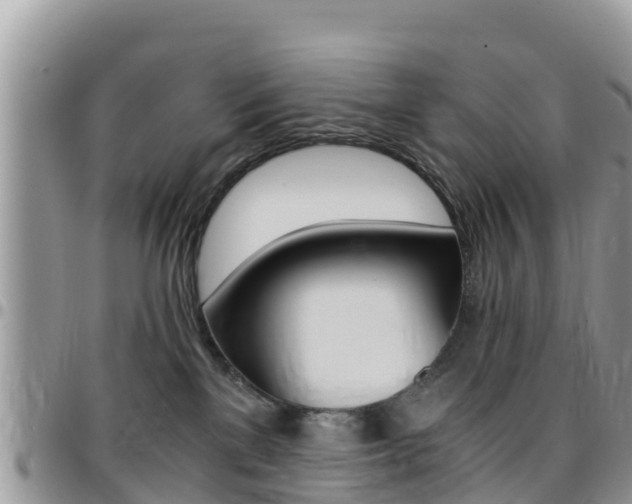 X0000096160137200801180859