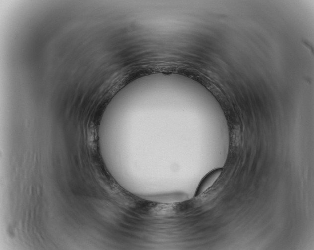 X0000096160138200801180859