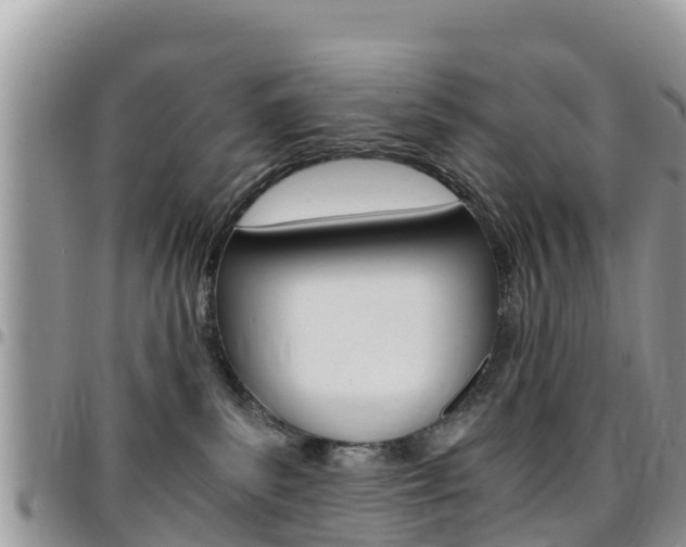 X0000096160139200801180859