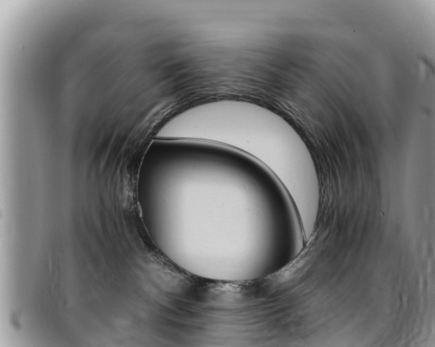 X0000096160140200801180859