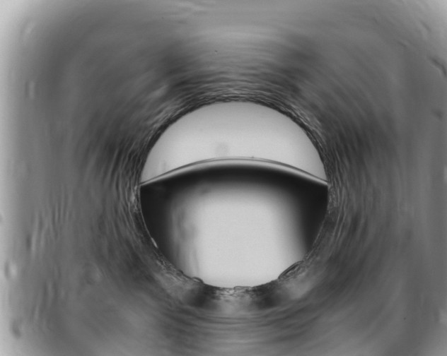 X0000096160141200801180859