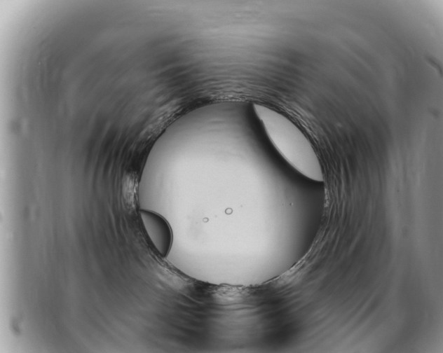 X0000096160142200801180859