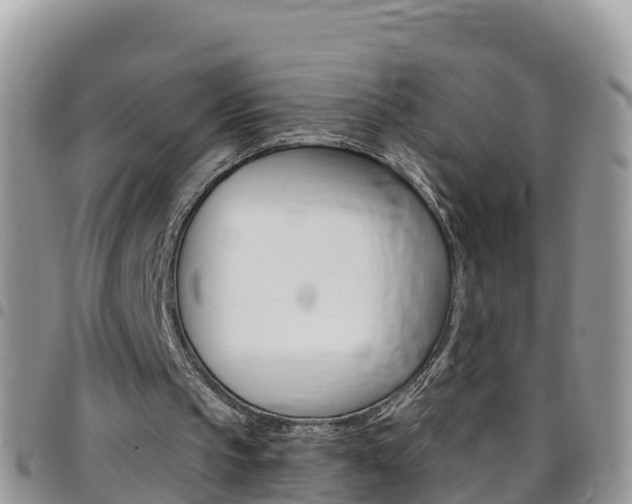 X0000096160145200801180859