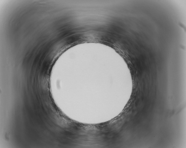 X0000096160146200801180859