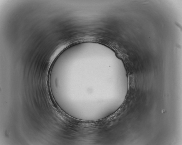 X0000096160147200801180859