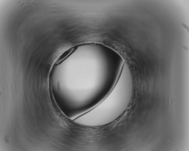 X0000096160148200801180859