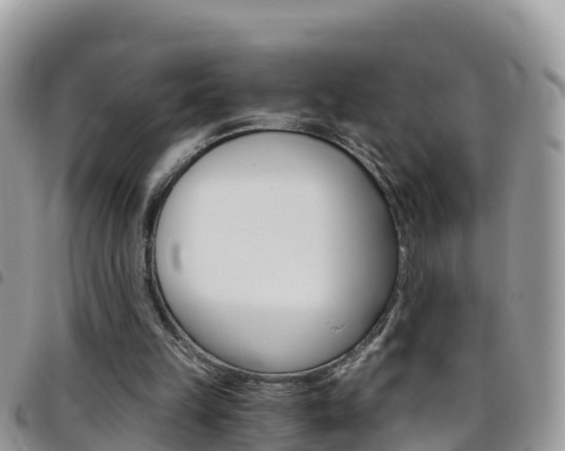 X0000096160149200801180859