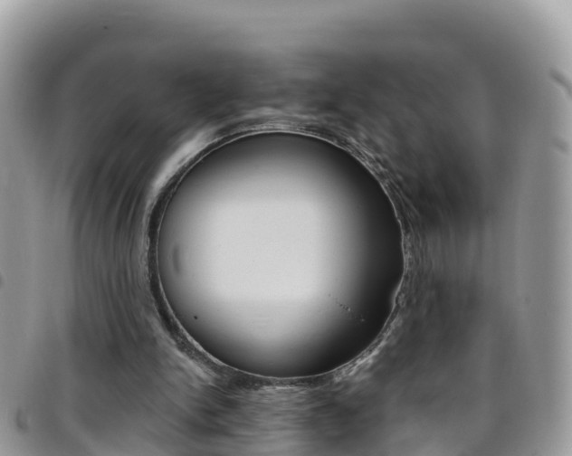 X0000096160150200801180859