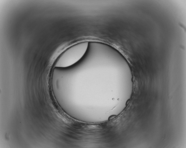 X0000096160151200801180859