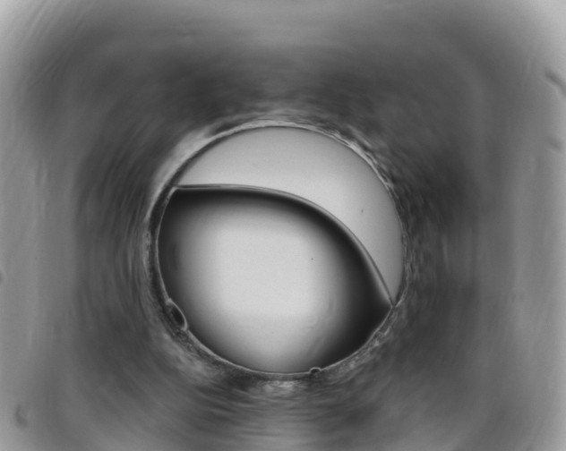 X0000096160152200801180859