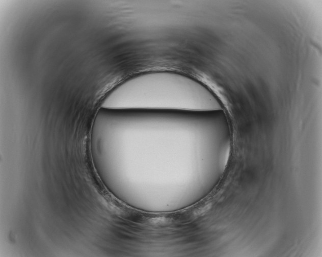 X0000096160153200801180859
