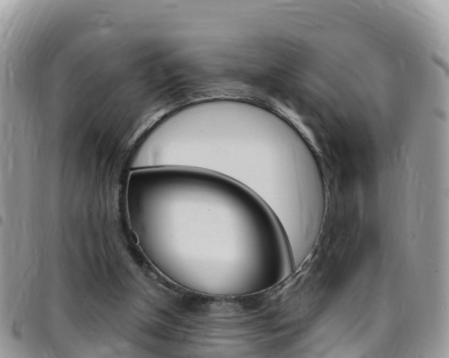 X0000096160154200801180859