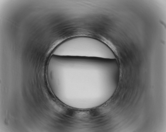 X0000096160155200801180859