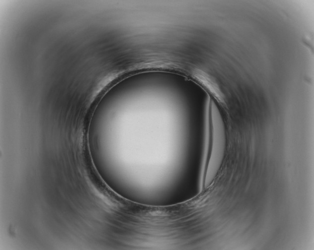 X0000096160156200801180859