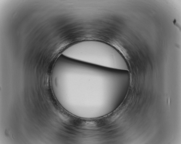 X0000096160157200801180859