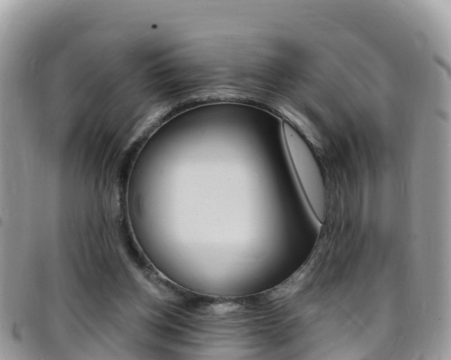 X0000096160158200801180859