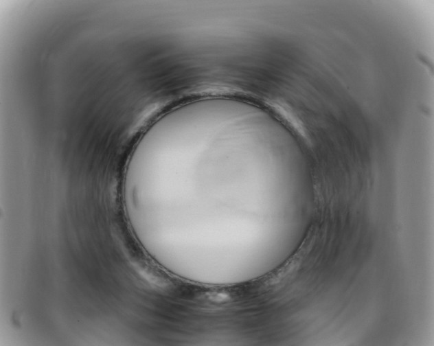 X0000096160159200801180859