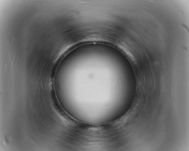 X0000096160160200801180859