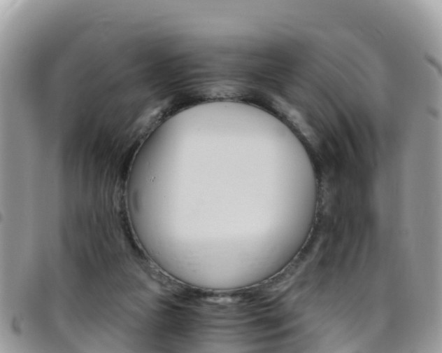 X0000096160161200801180859