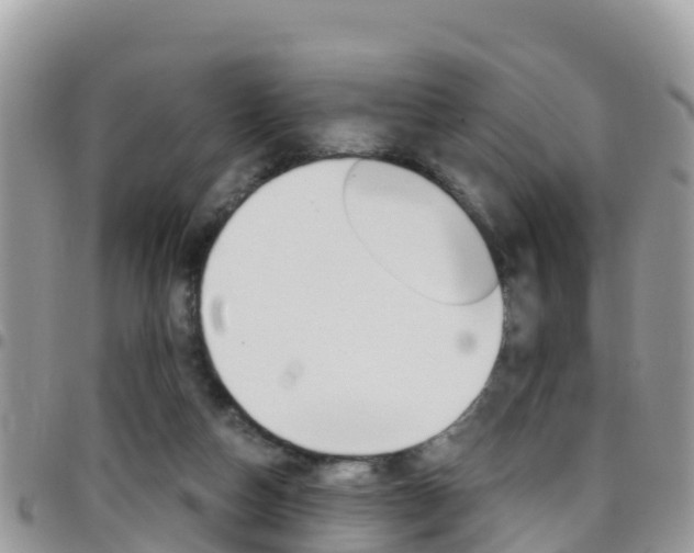 X0000096160162200801180859
