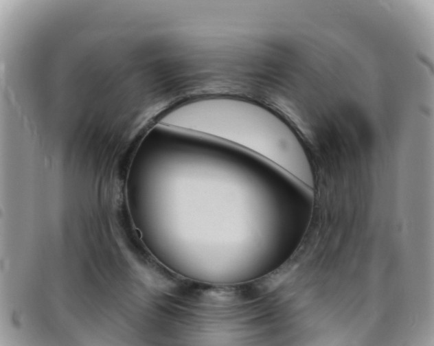 X0000096160164200801180859