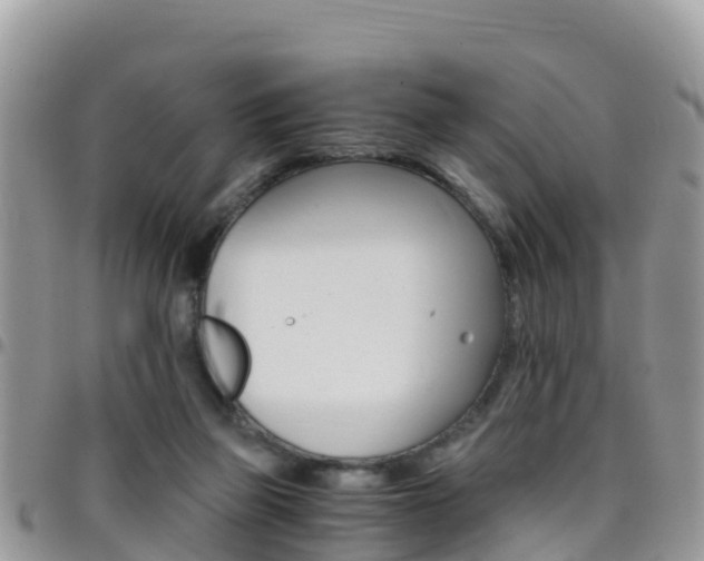 X0000096160165200801180859