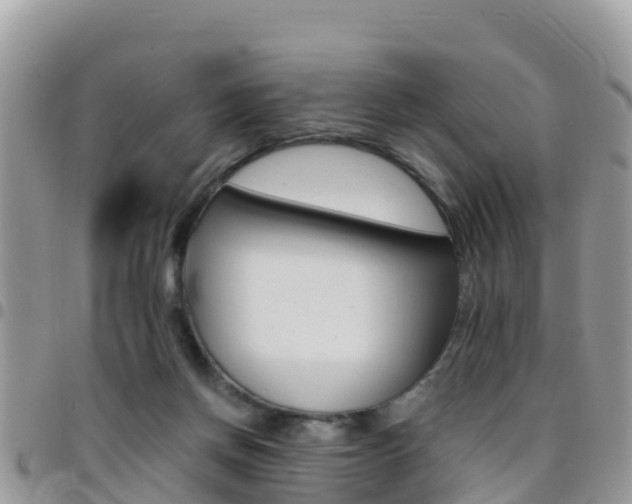 X0000096160166200801180859