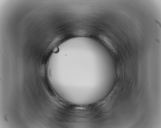X0000096160167200801180859