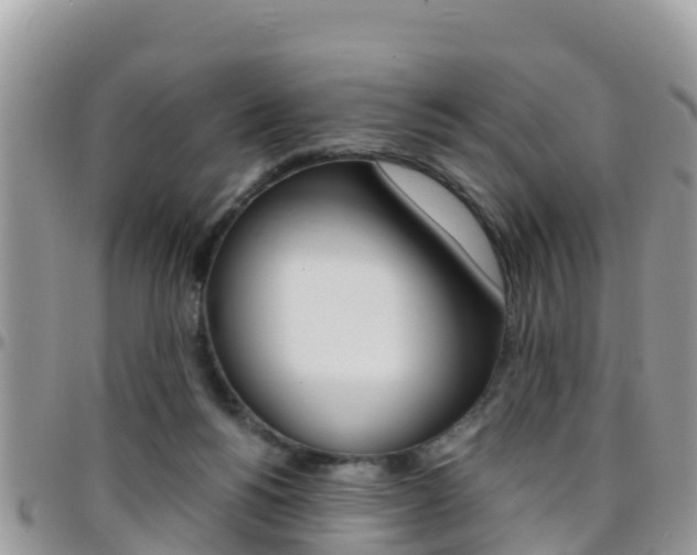 X0000096160168200801180859