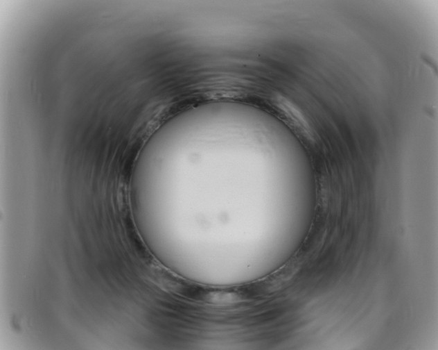 X0000096160169200801180859