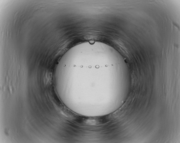 X0000096160171200801180859