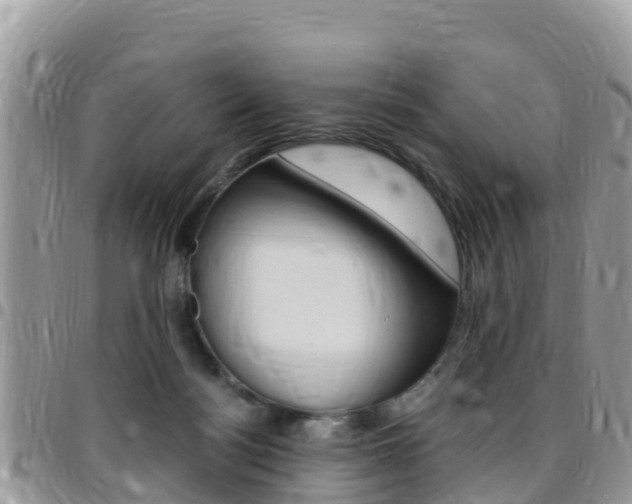 X0000096160172200801180859
