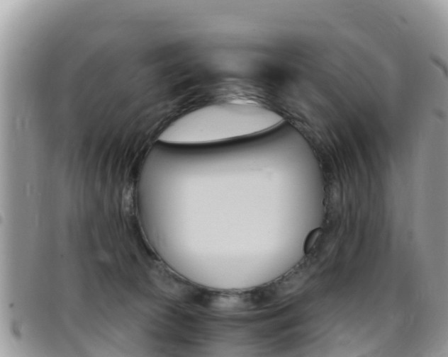 X0000096160177200801180859