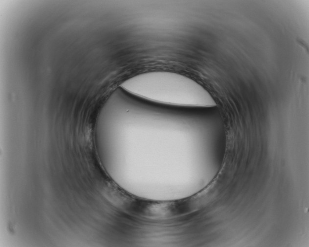 X0000096160178200801180859