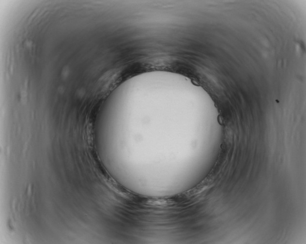 X0000096160181200801180859