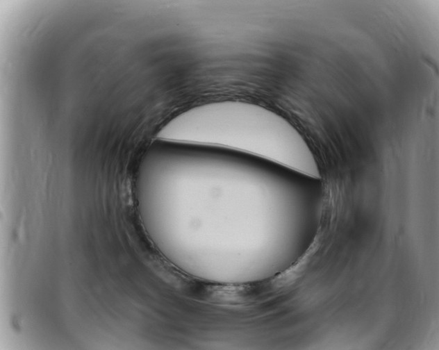 X0000096160182200801180859