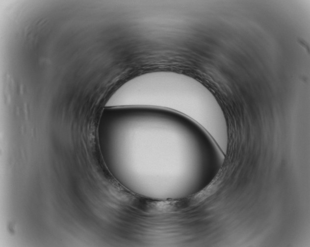 X0000096160184200801180859