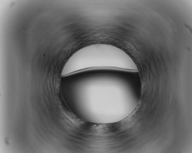 X0000096160186200801180859