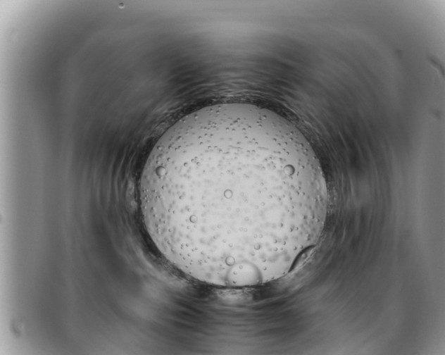 X0000096160187200801180859