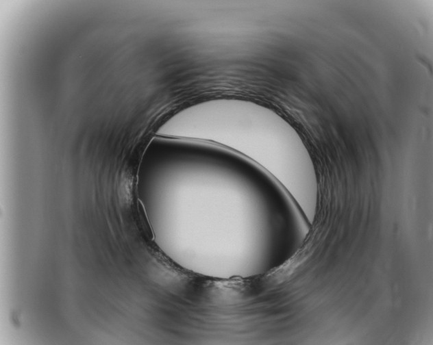 X0000096160188200801180859