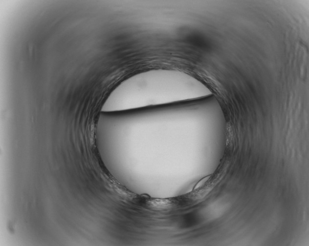 X0000096160189200801180859